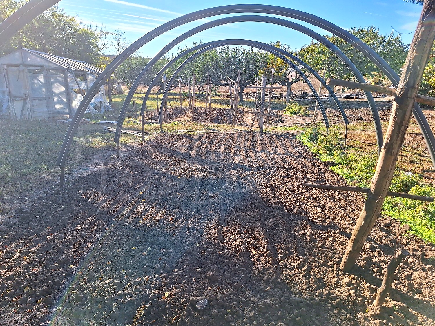 garden, outside