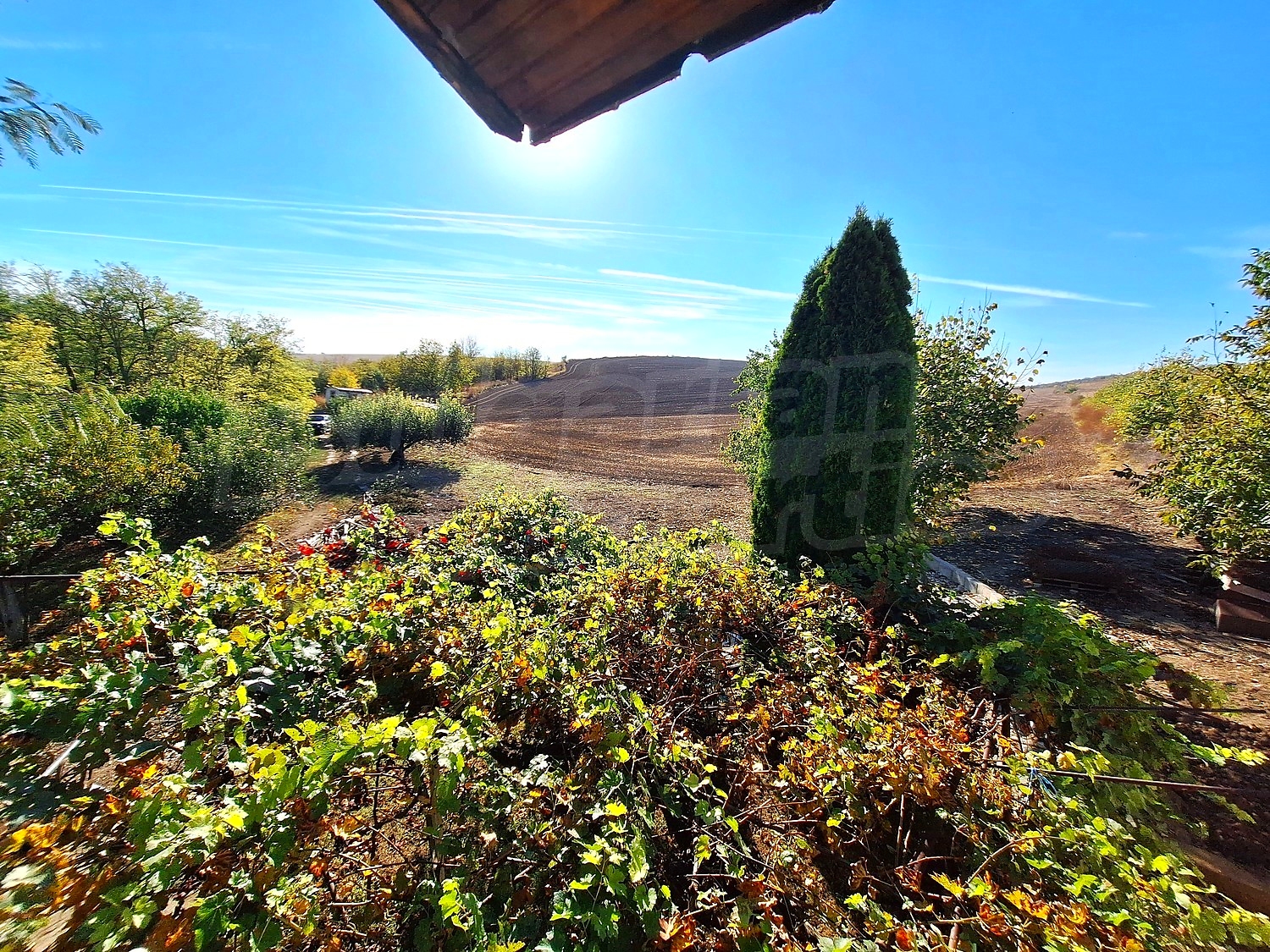 outside, garden, green area
