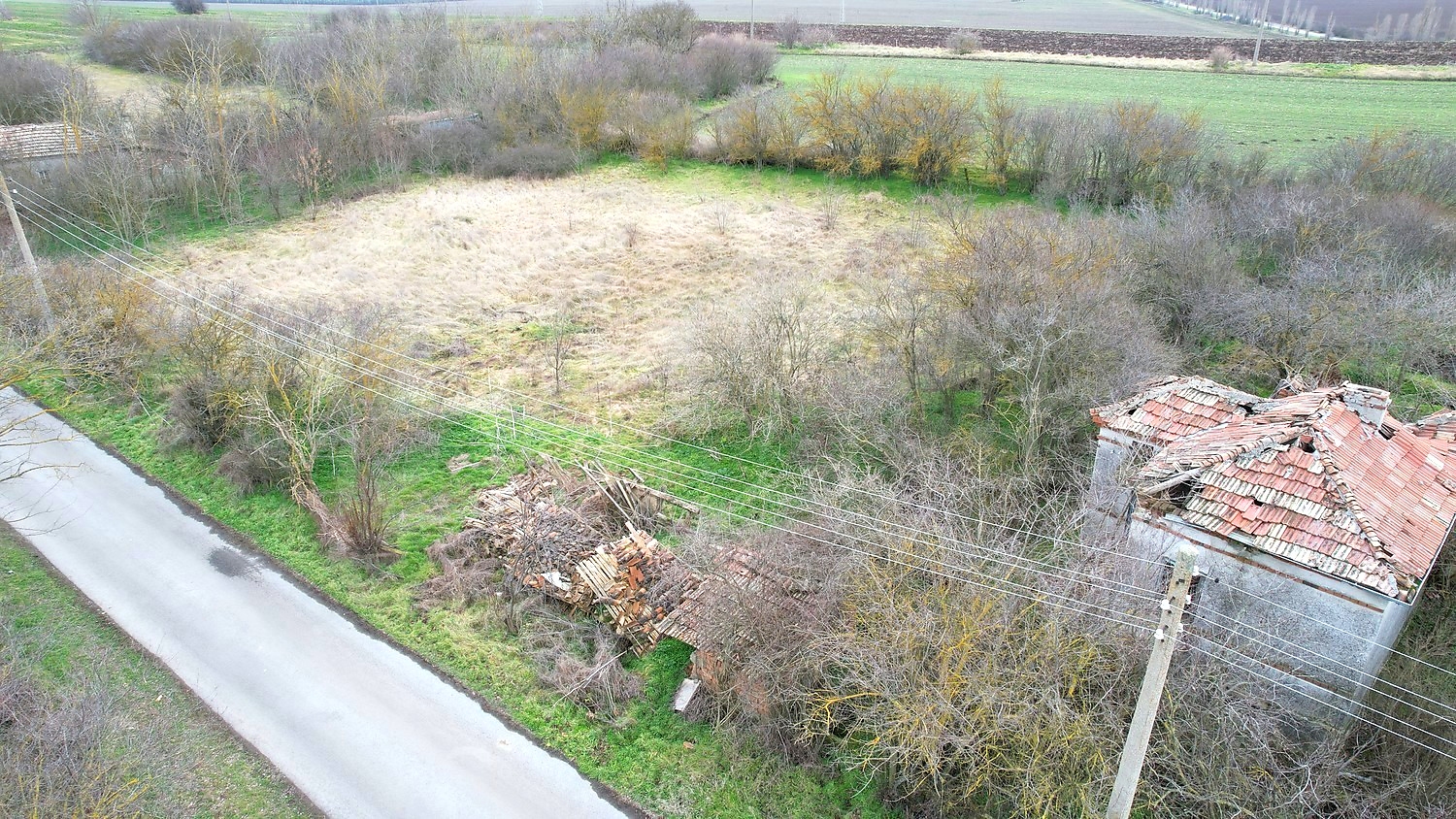 outside, green area