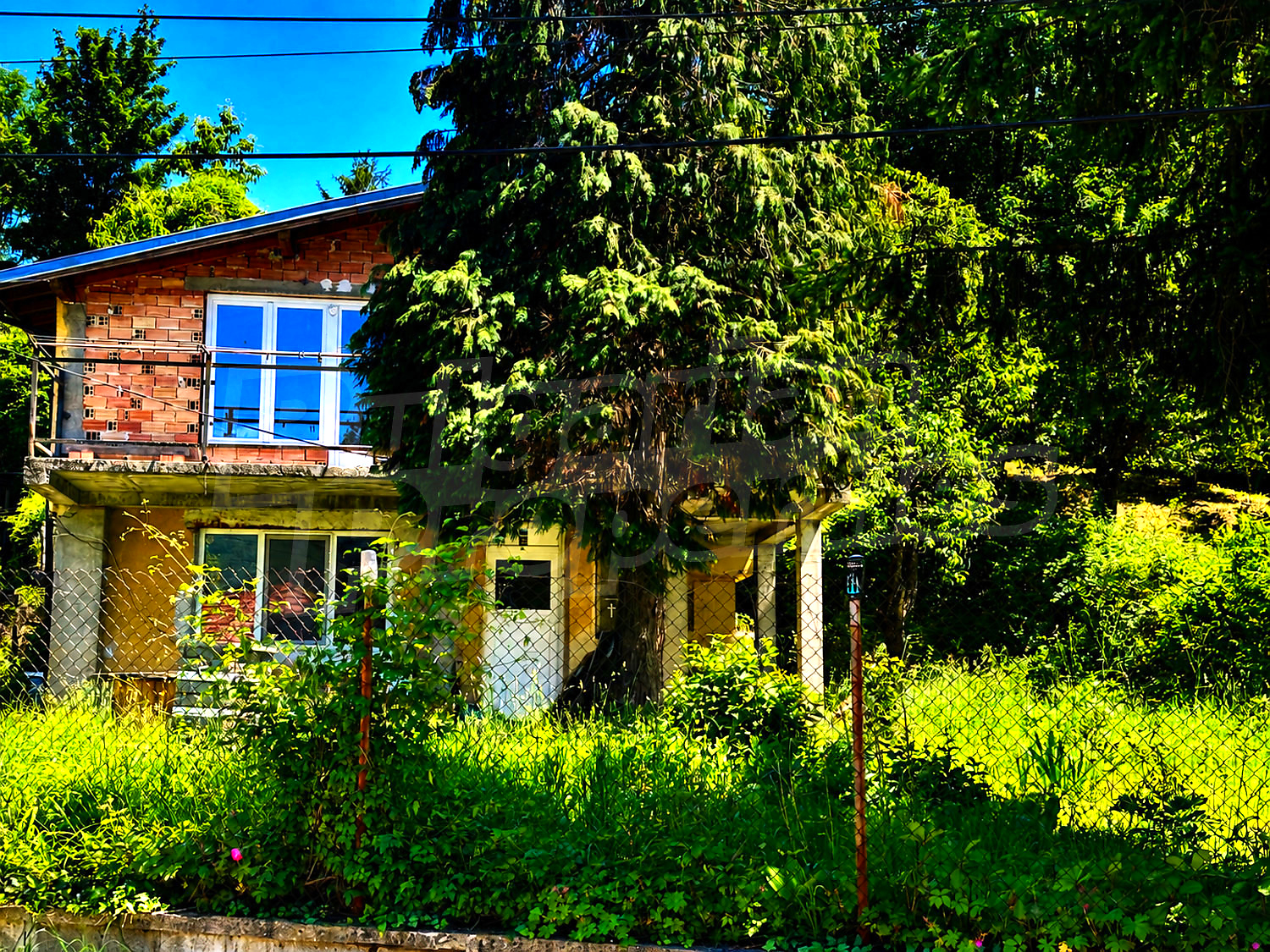 facade, garden, outside, green area