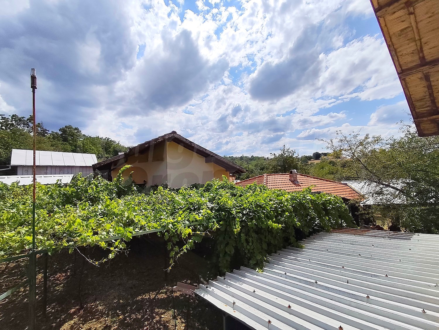 outside, garden, green area
