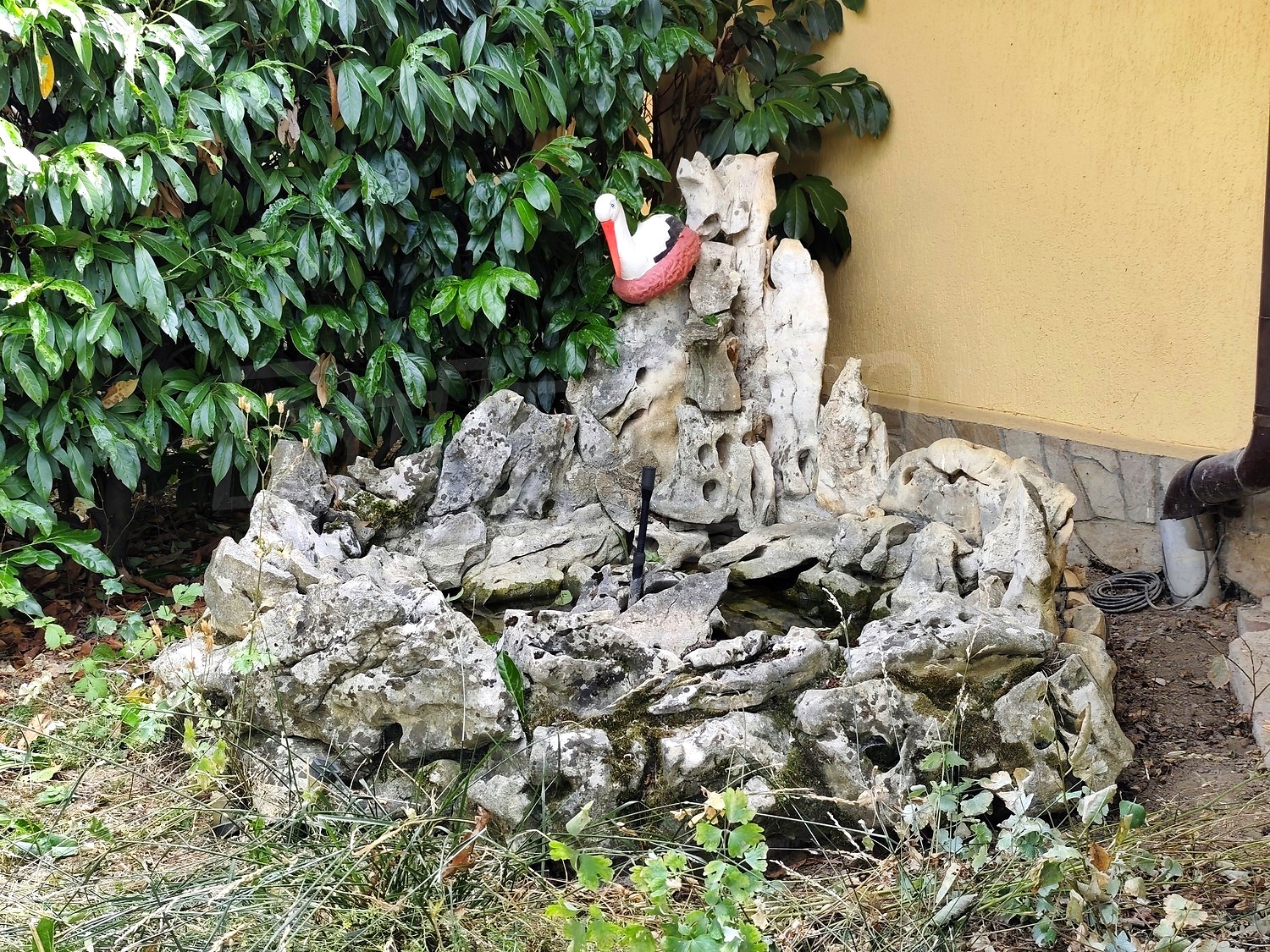 garden, outside