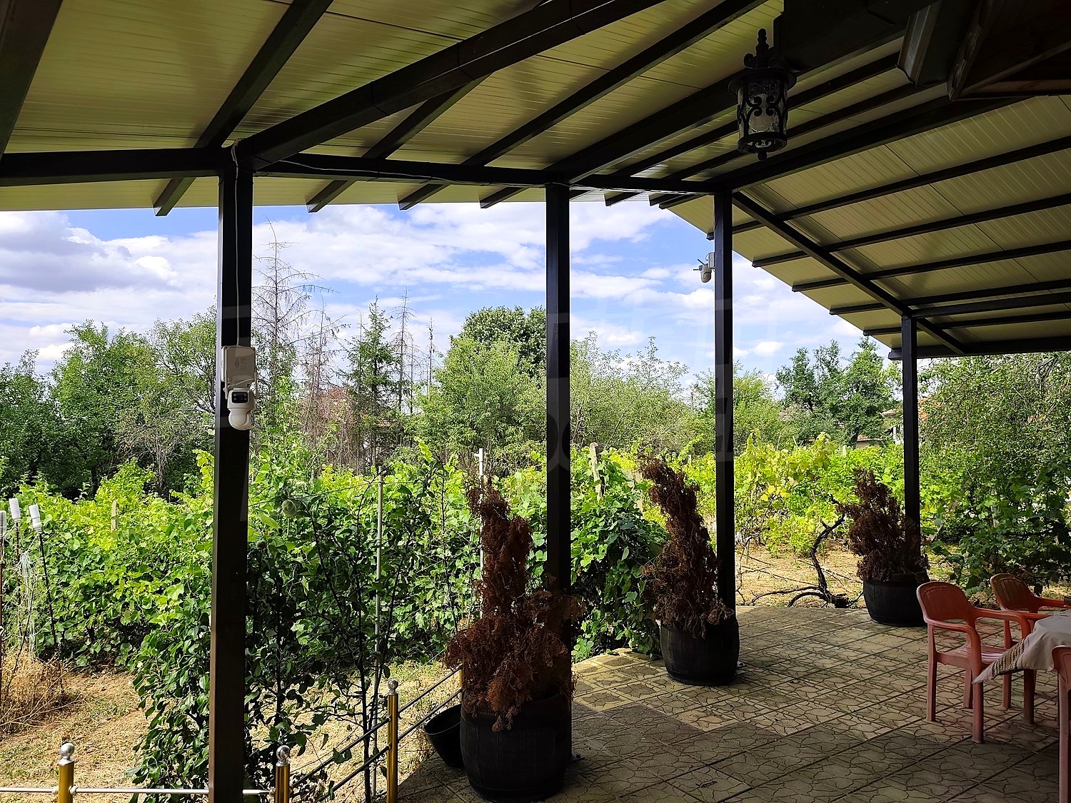 outside, garden, view from balcony, green area
