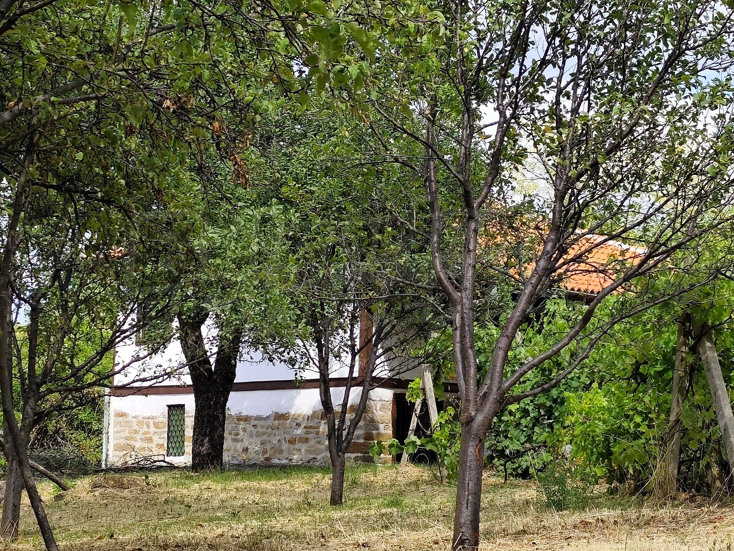 outside, garden, facade, green area
