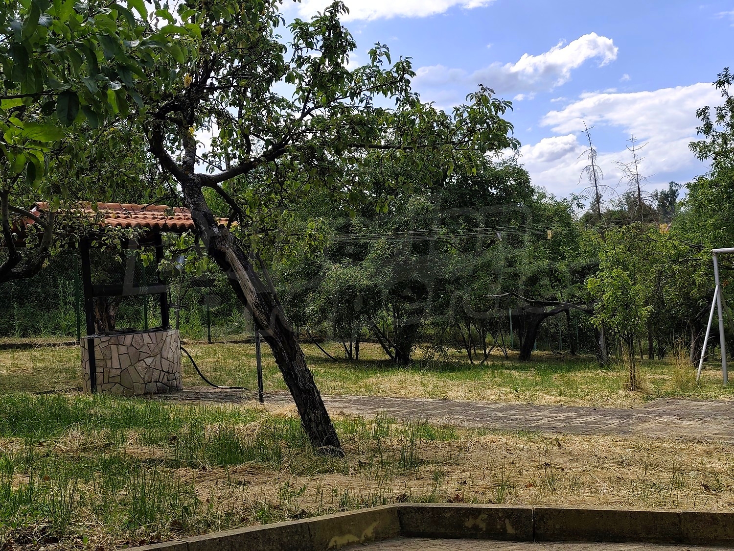 outside, garden, green area