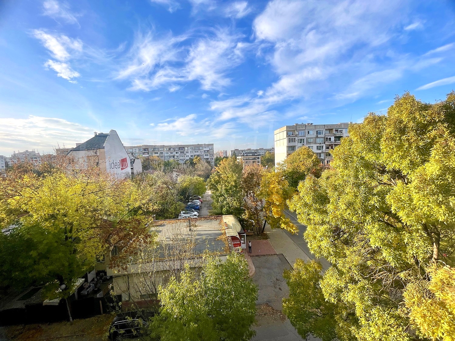 outside, green area