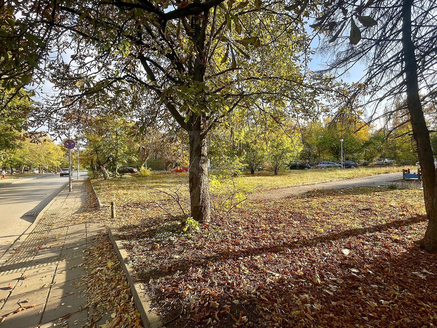 outside, green area