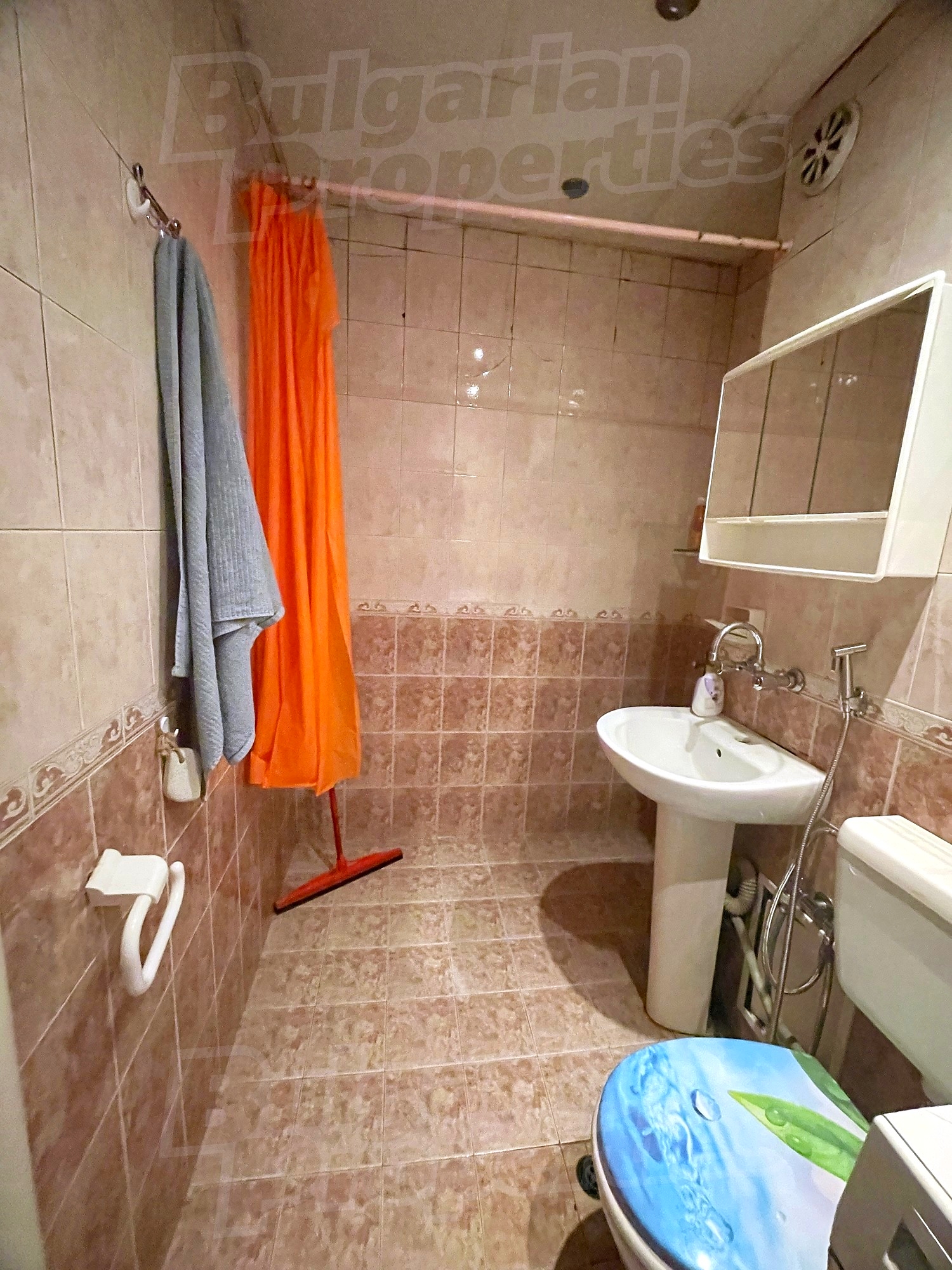 bathroom, toilet