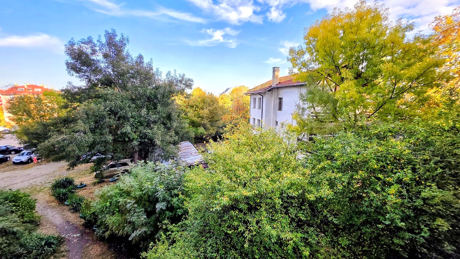 outside, garden