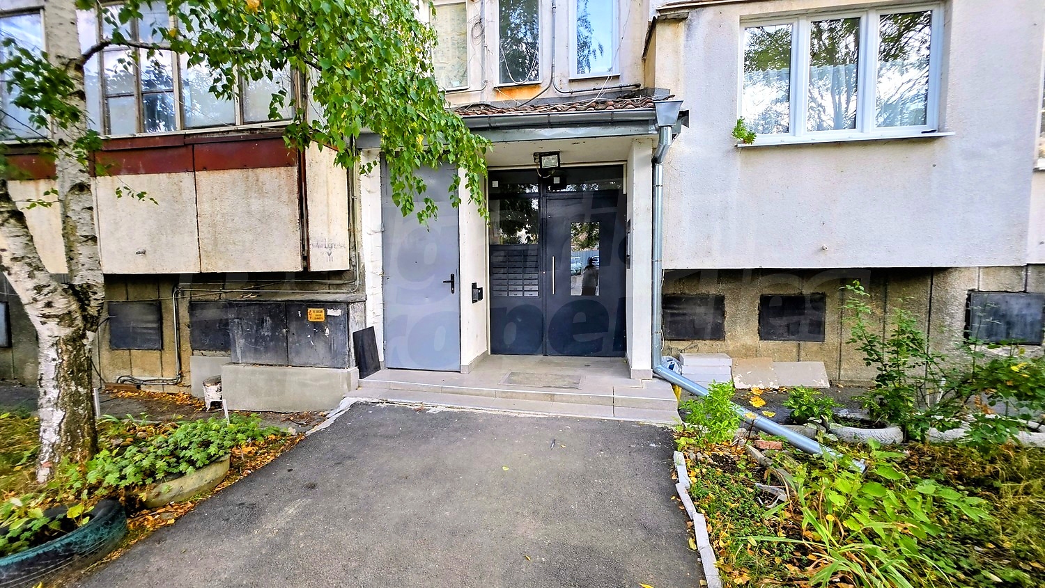 facade, garden