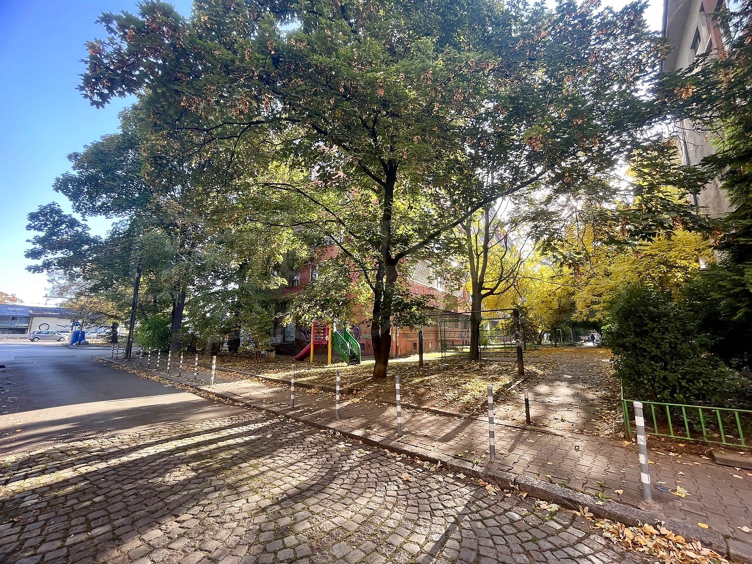 outside, green area