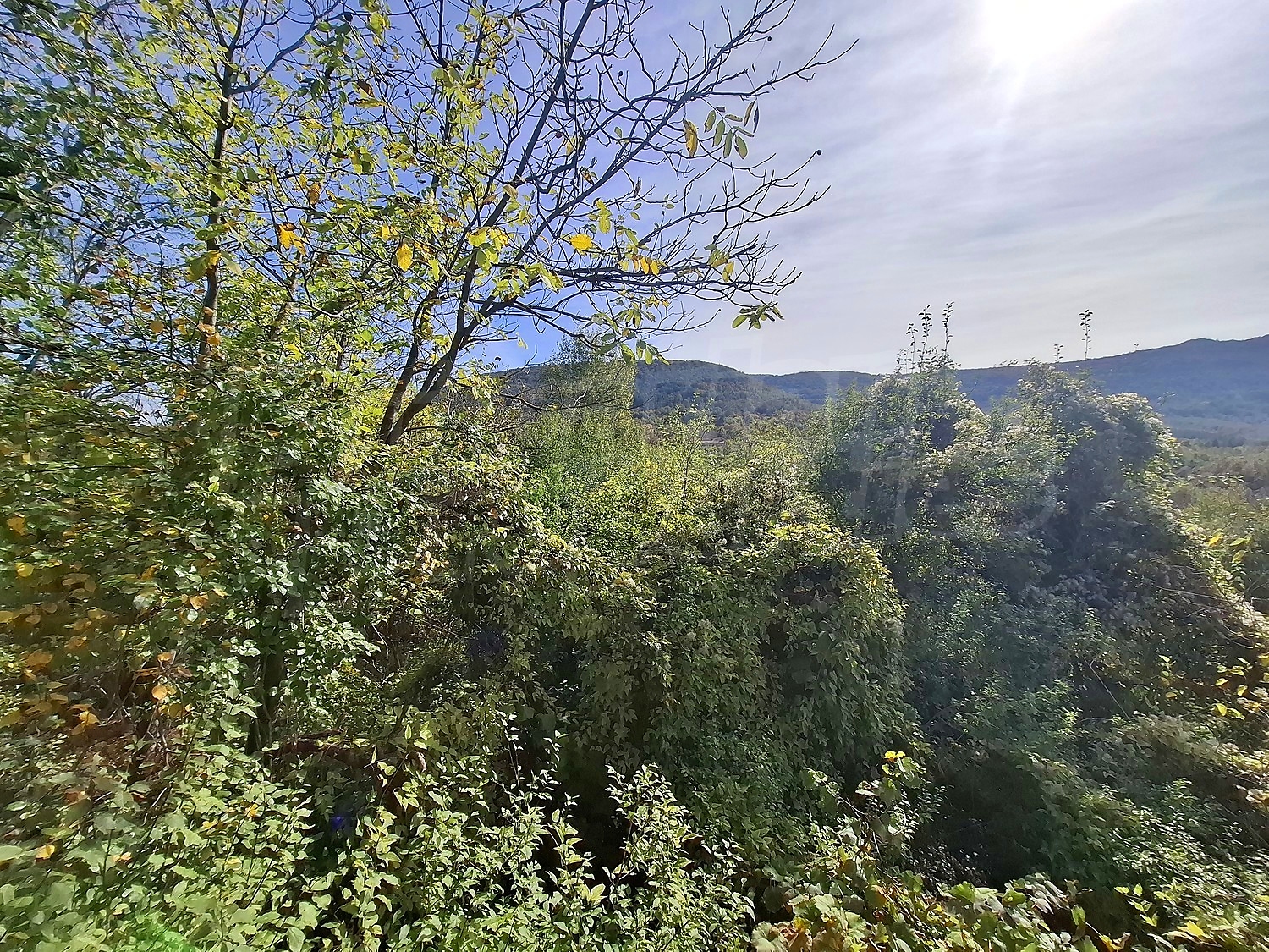 outside, mountain, green area