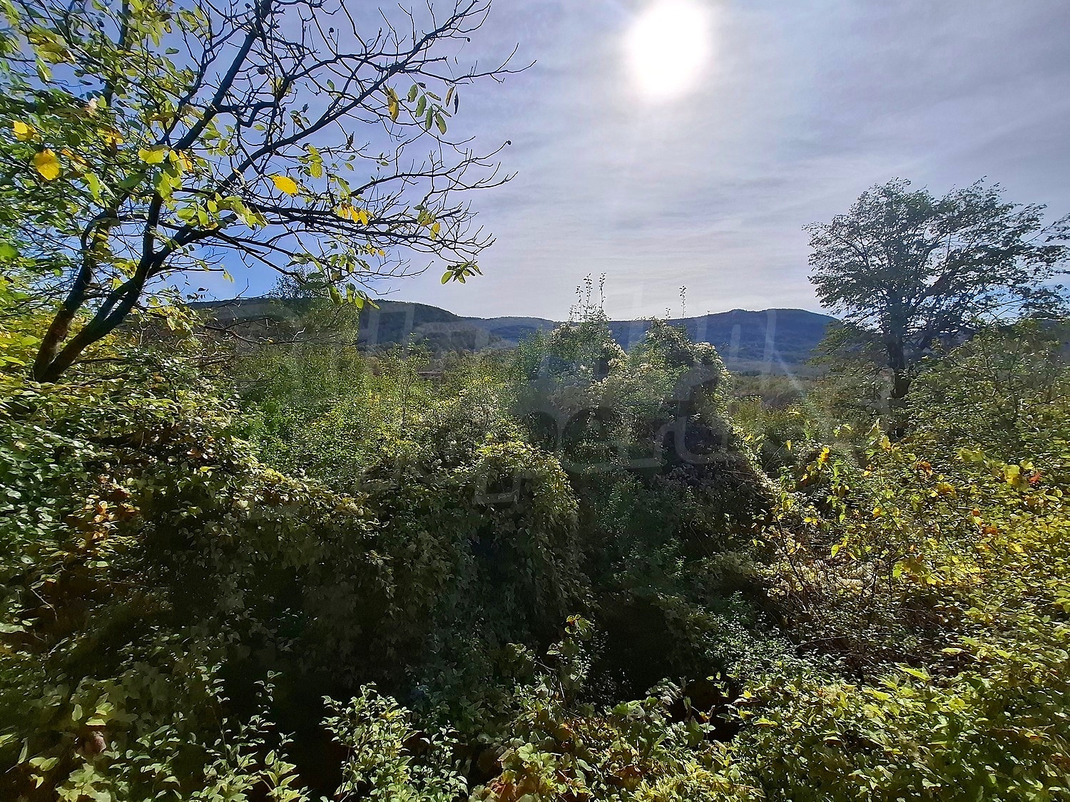 outside, green area, mountain