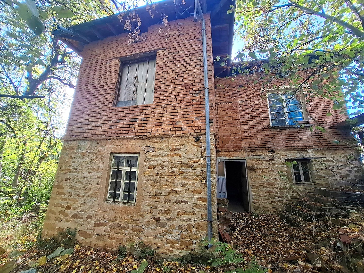 facade, outside, garden, green area
