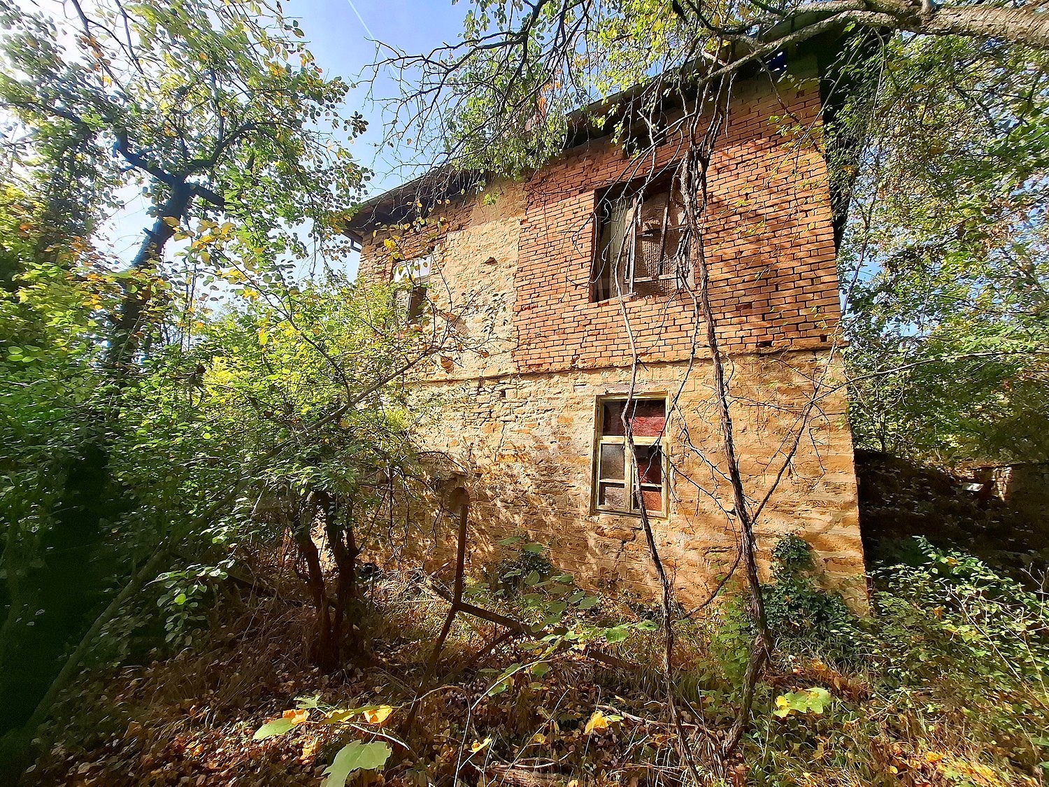outside, facade, garden
