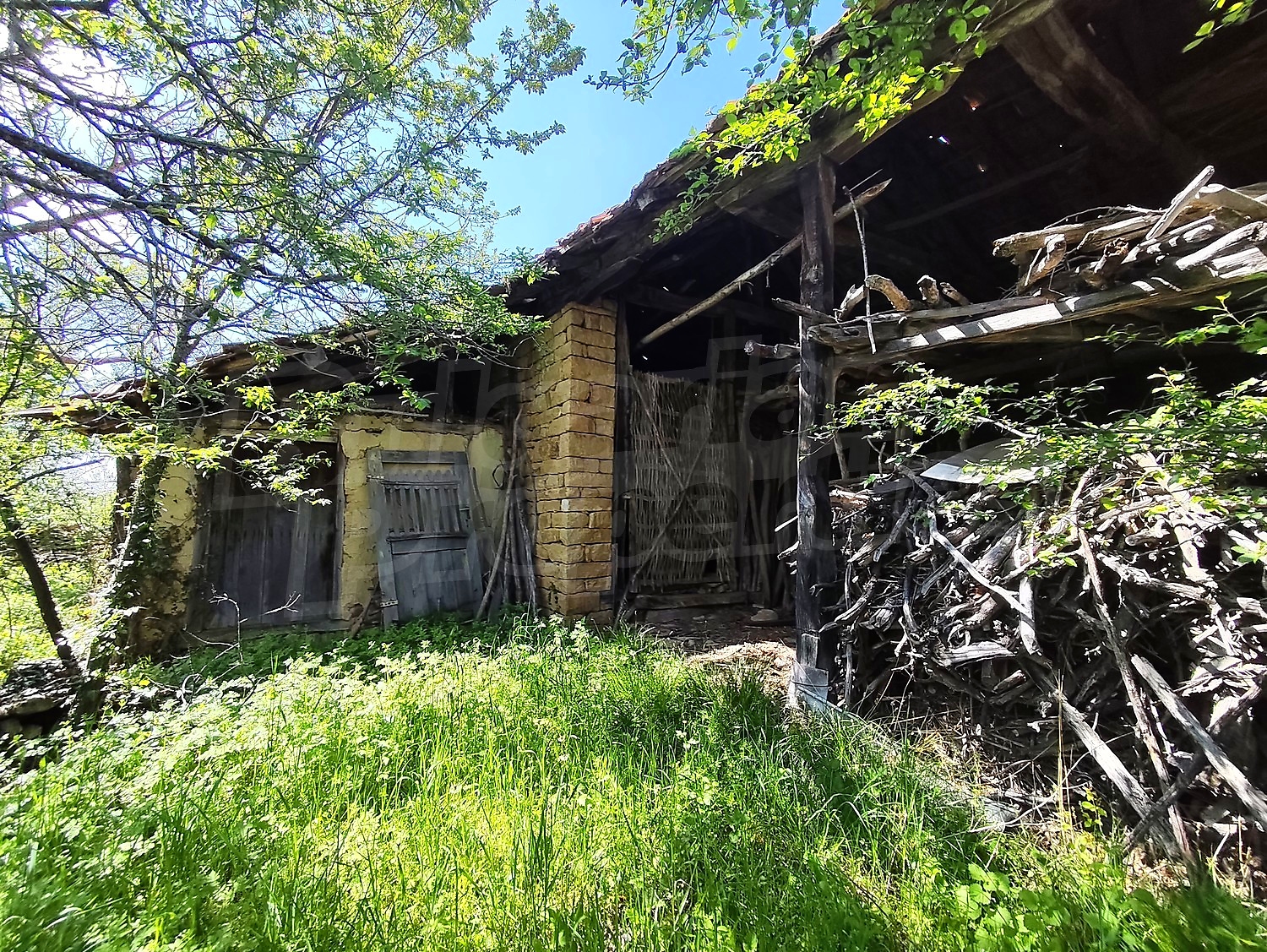 outside, garden