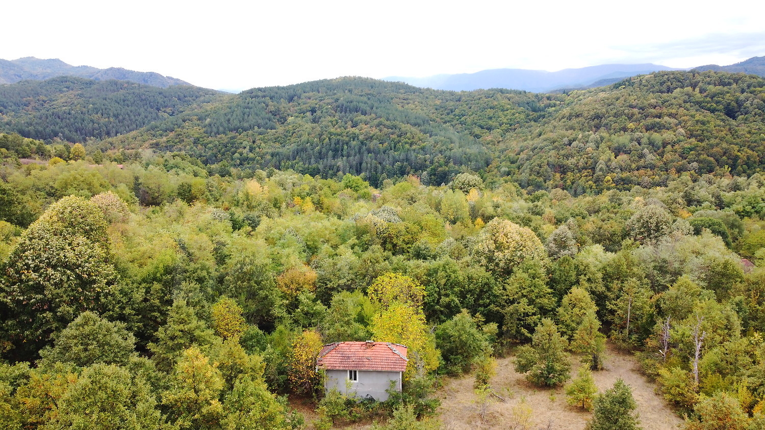 outside, mountain, green area