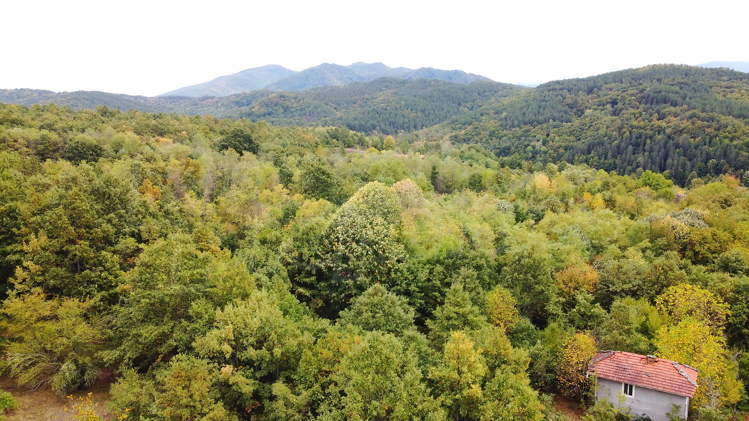 outside, mountain, green area