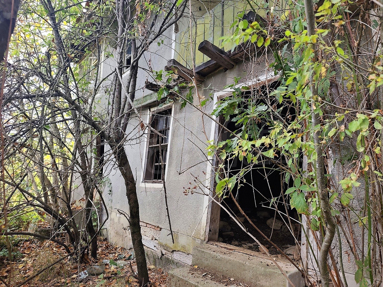 outside, facade, garden