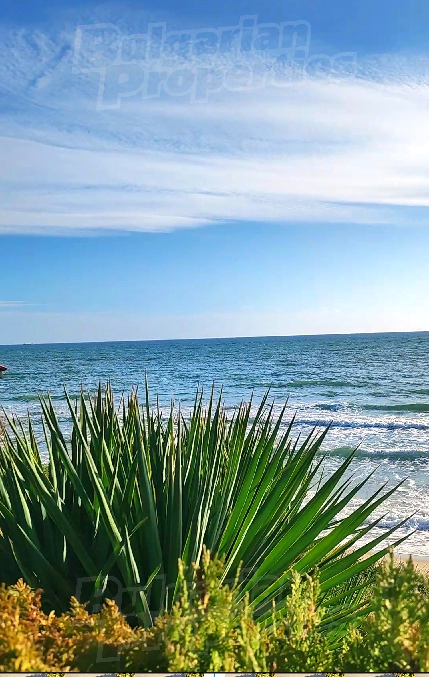 outside, sea, green area