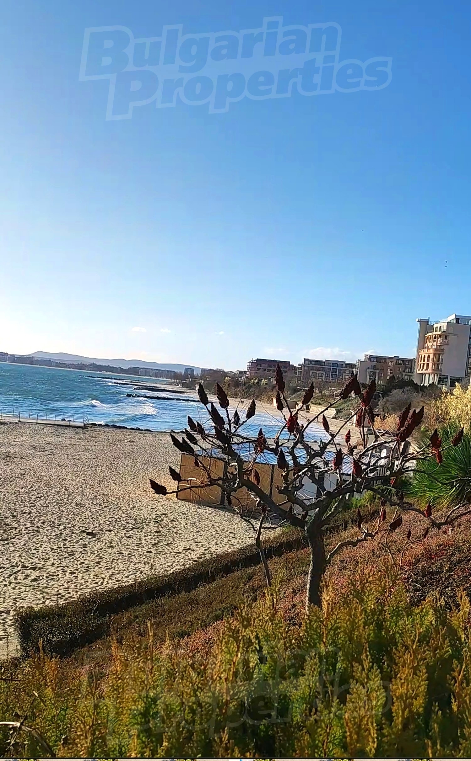 outside, sea, garden