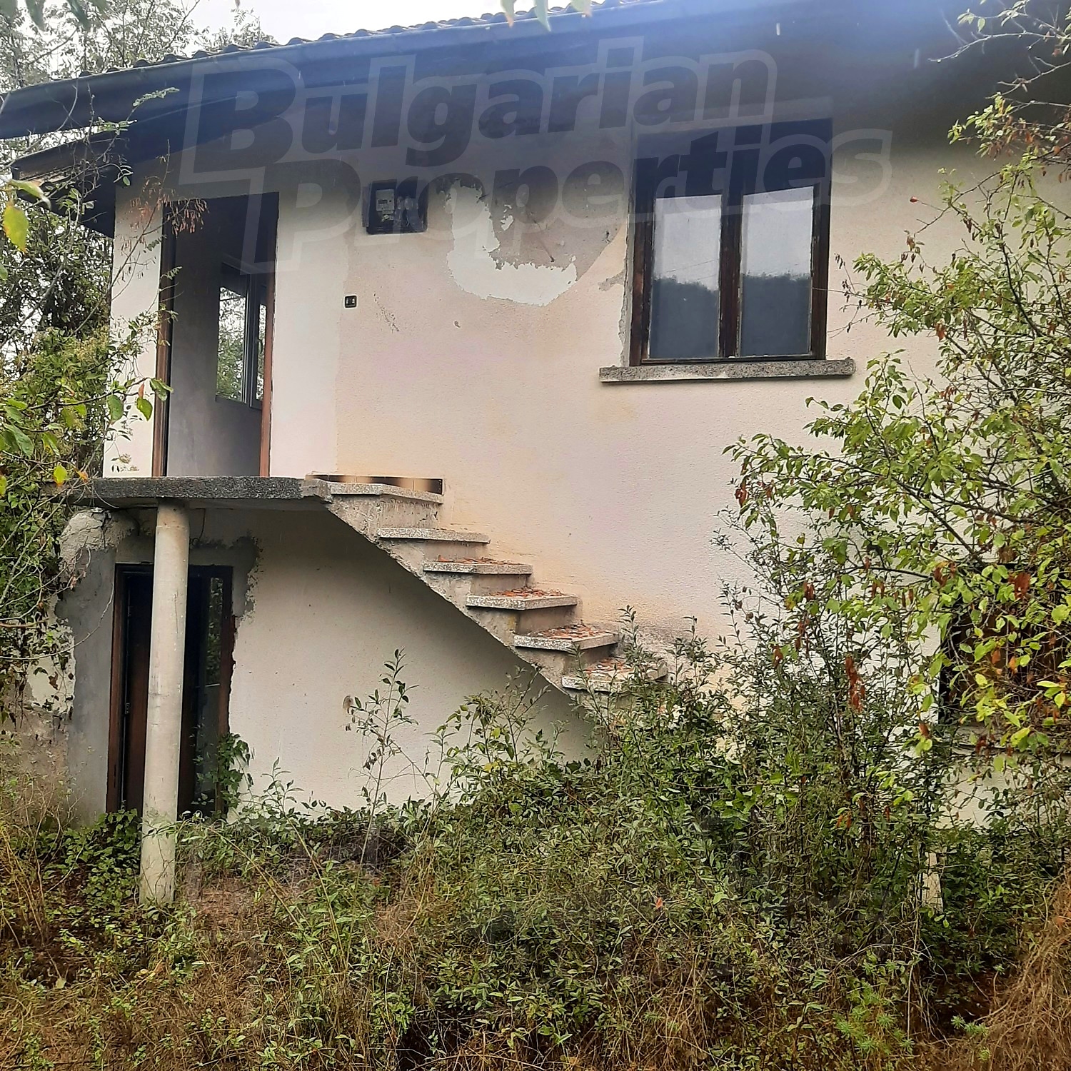 facade, outside, stairs, garden