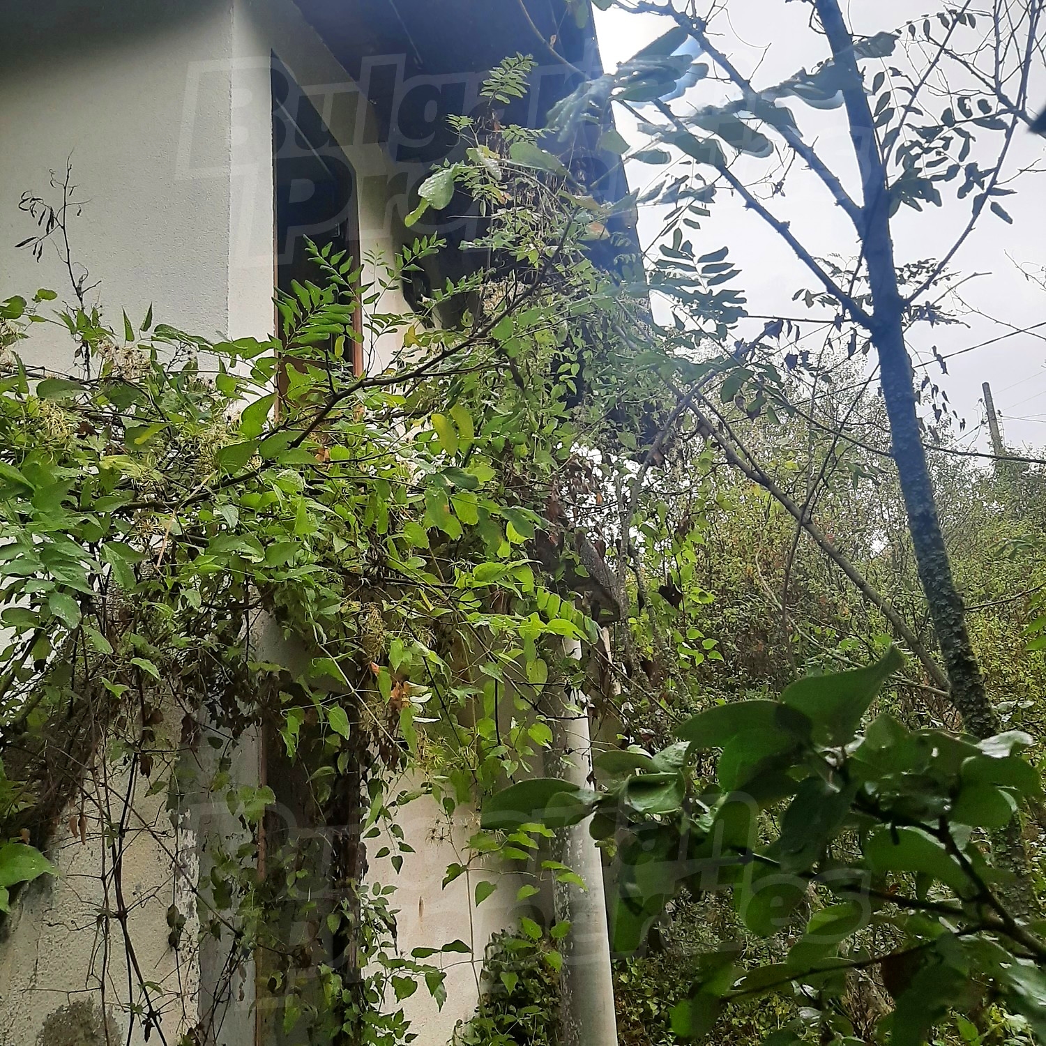 outside, facade, garden