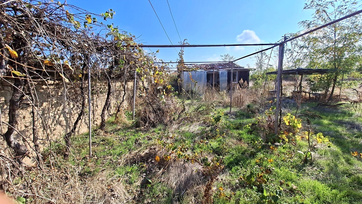 outside, garden, green area
