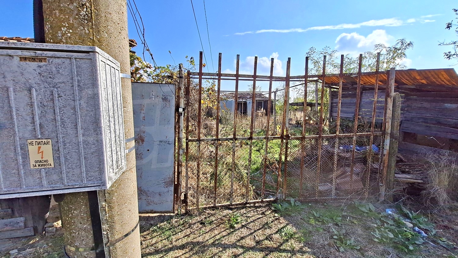 outside, garden