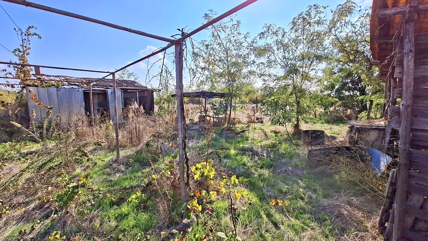 outside, garden