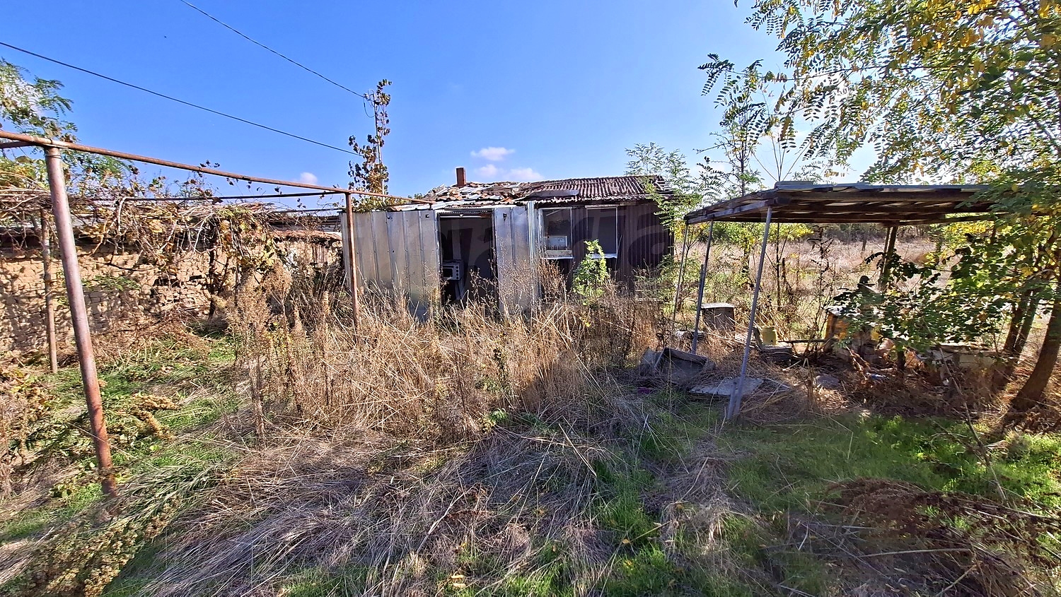 outside, garden