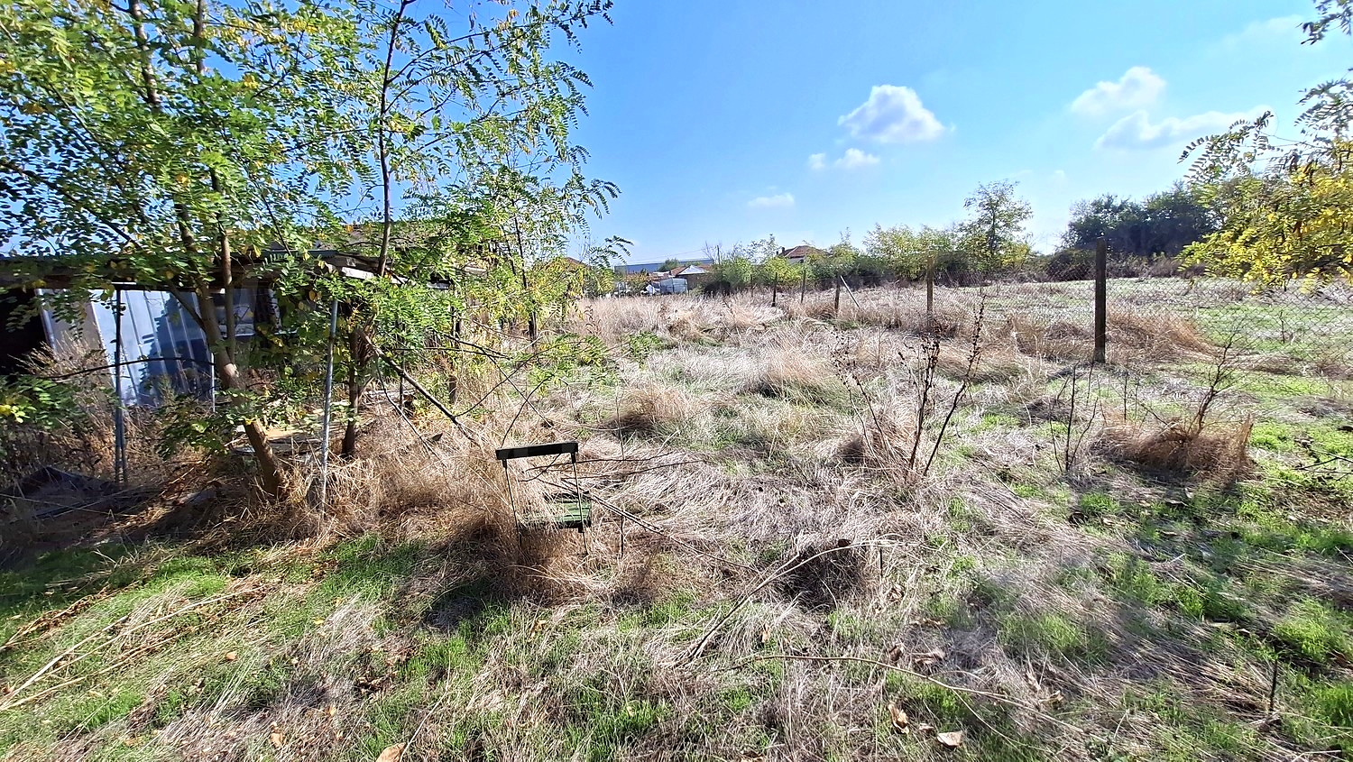 outside, garden