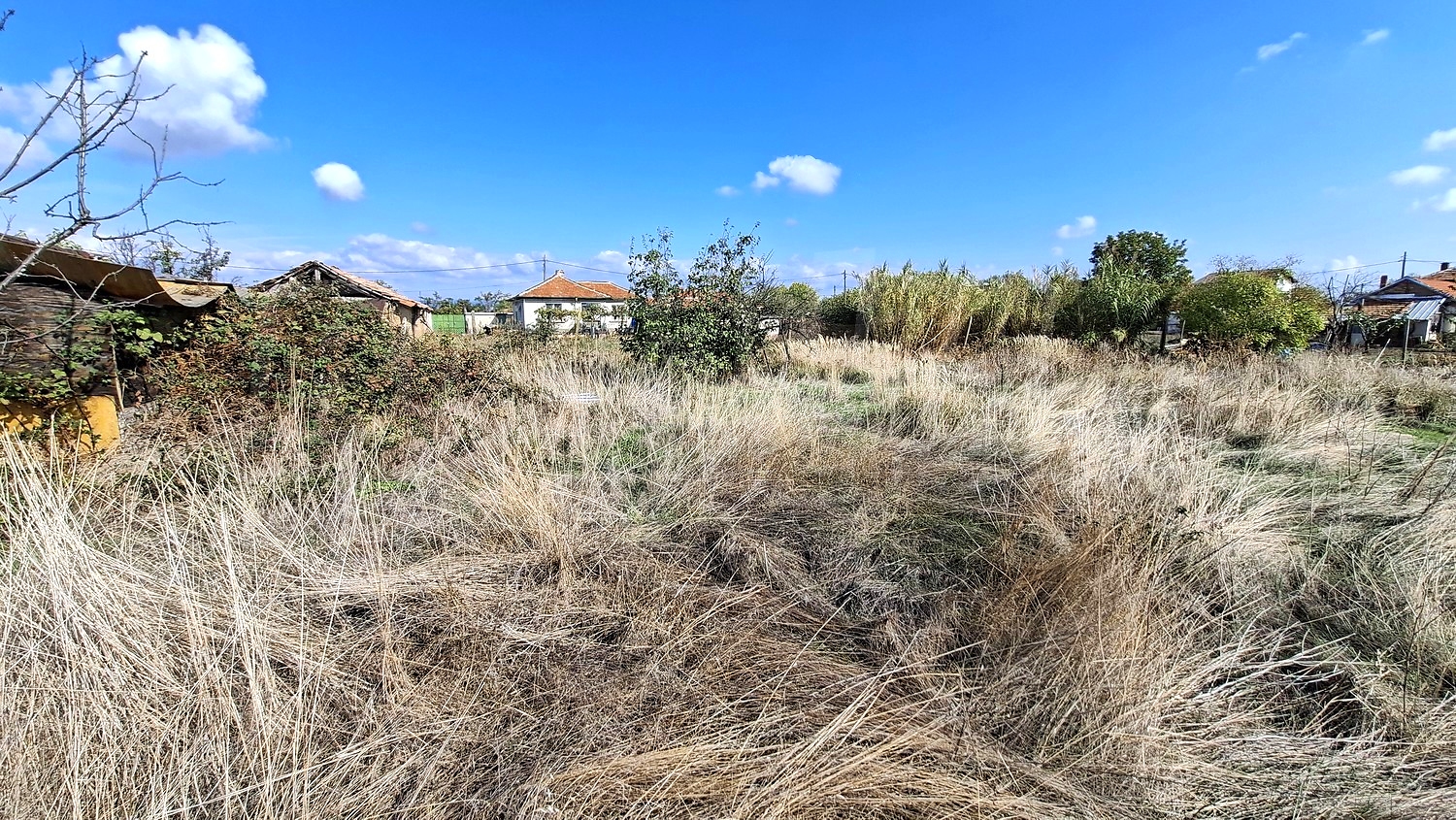 outside, garden, green area