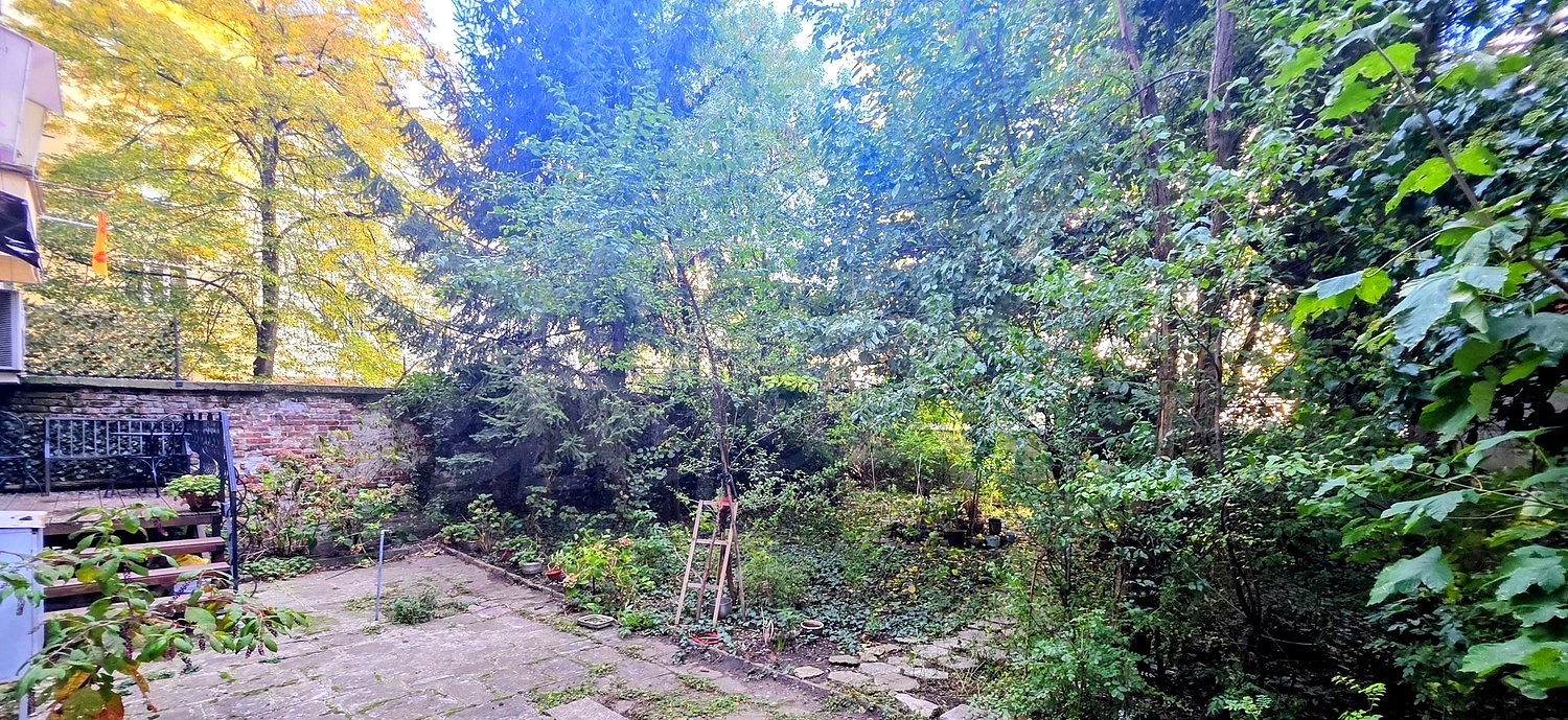 garden, green area