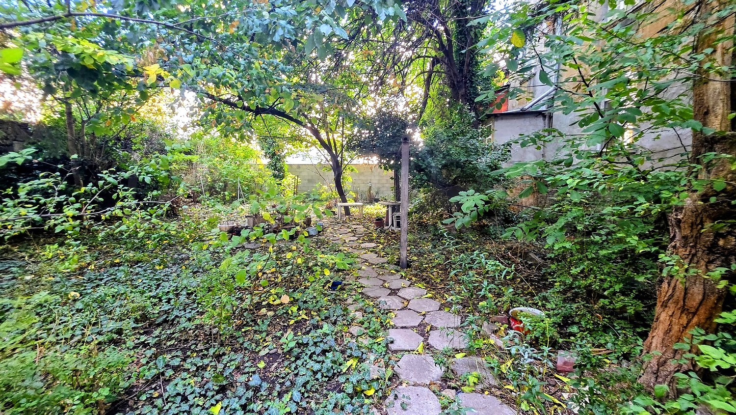 garden, outside, green area