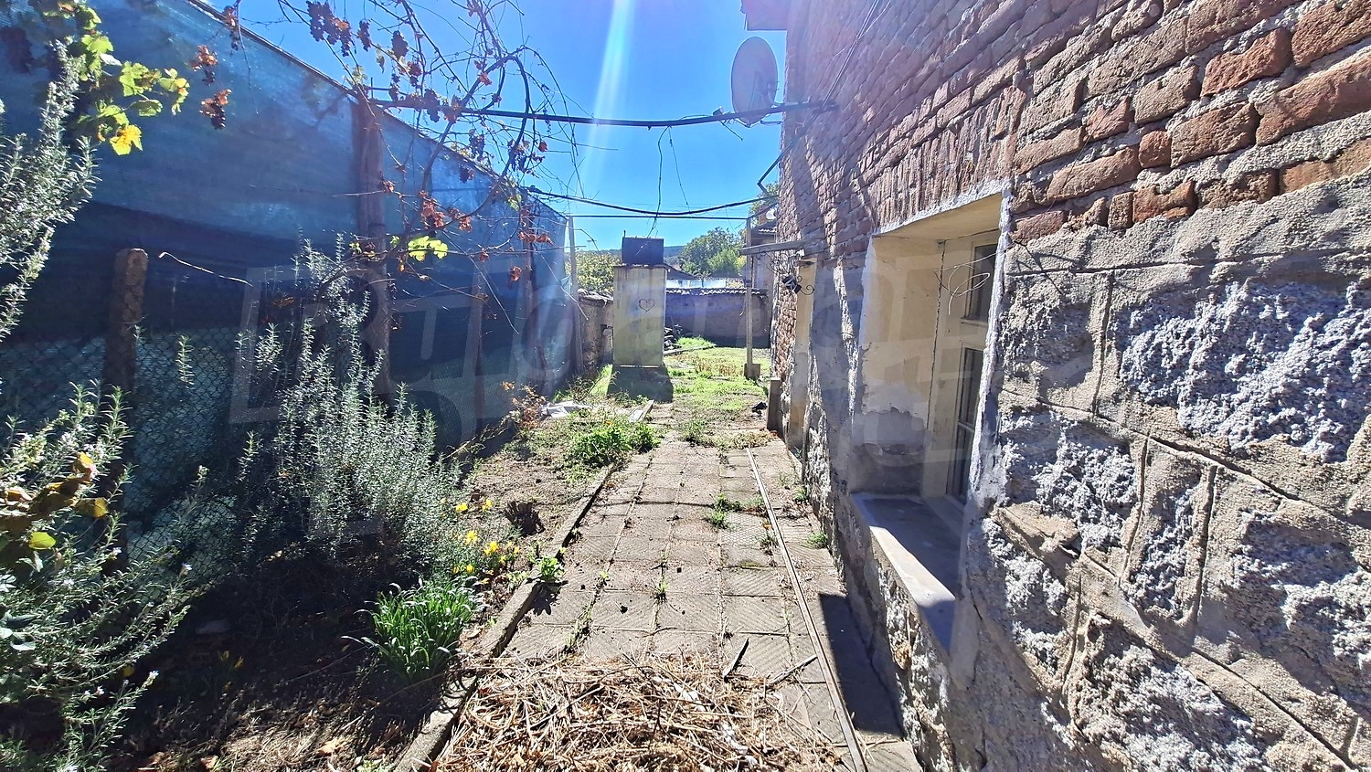 outside, garden