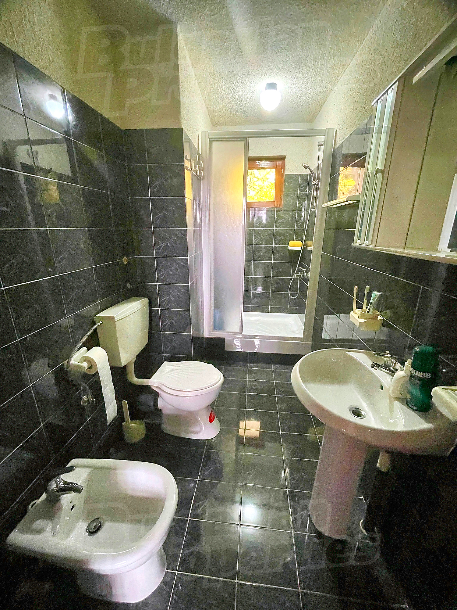 inside, bathroom, toilet