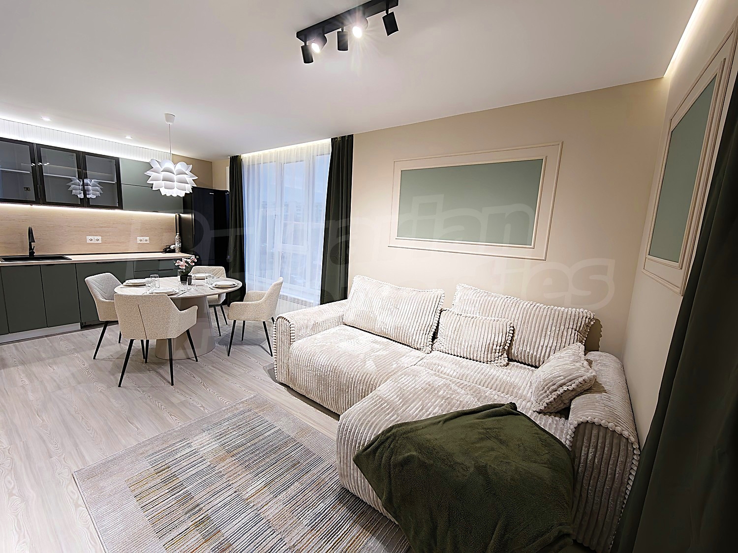inside, living room, kitchen, furnished