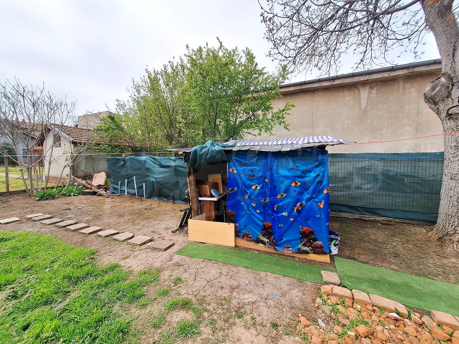 outside, garden