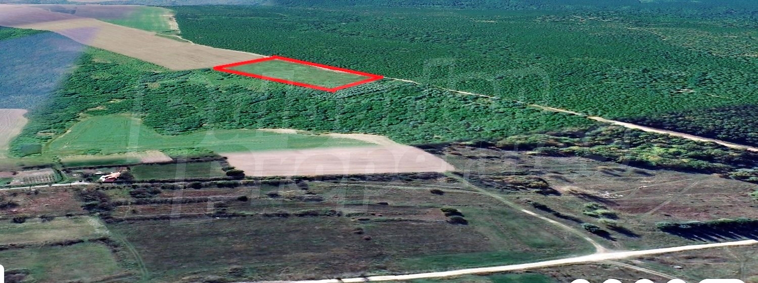 outside, green area