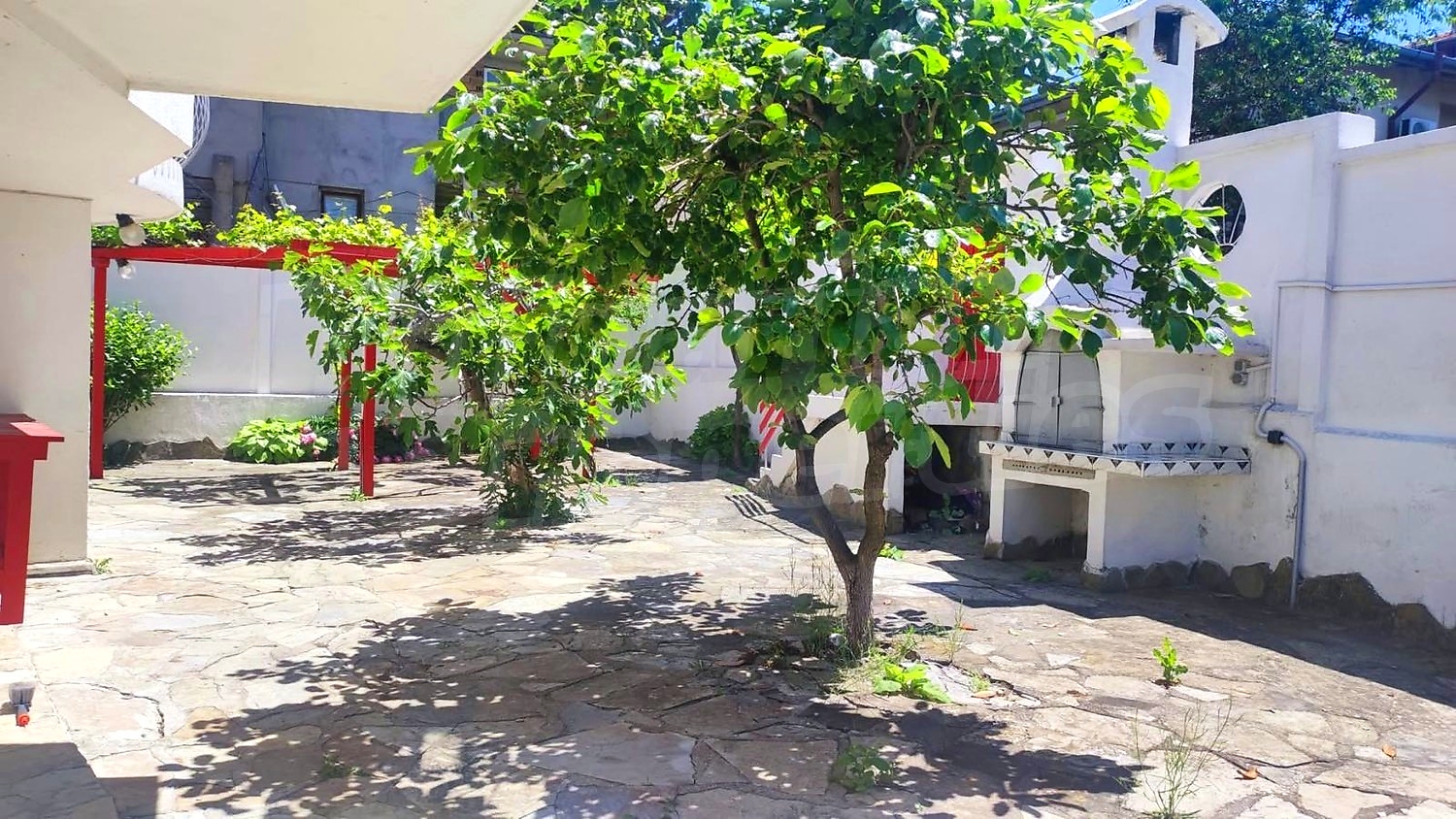 garden, outside