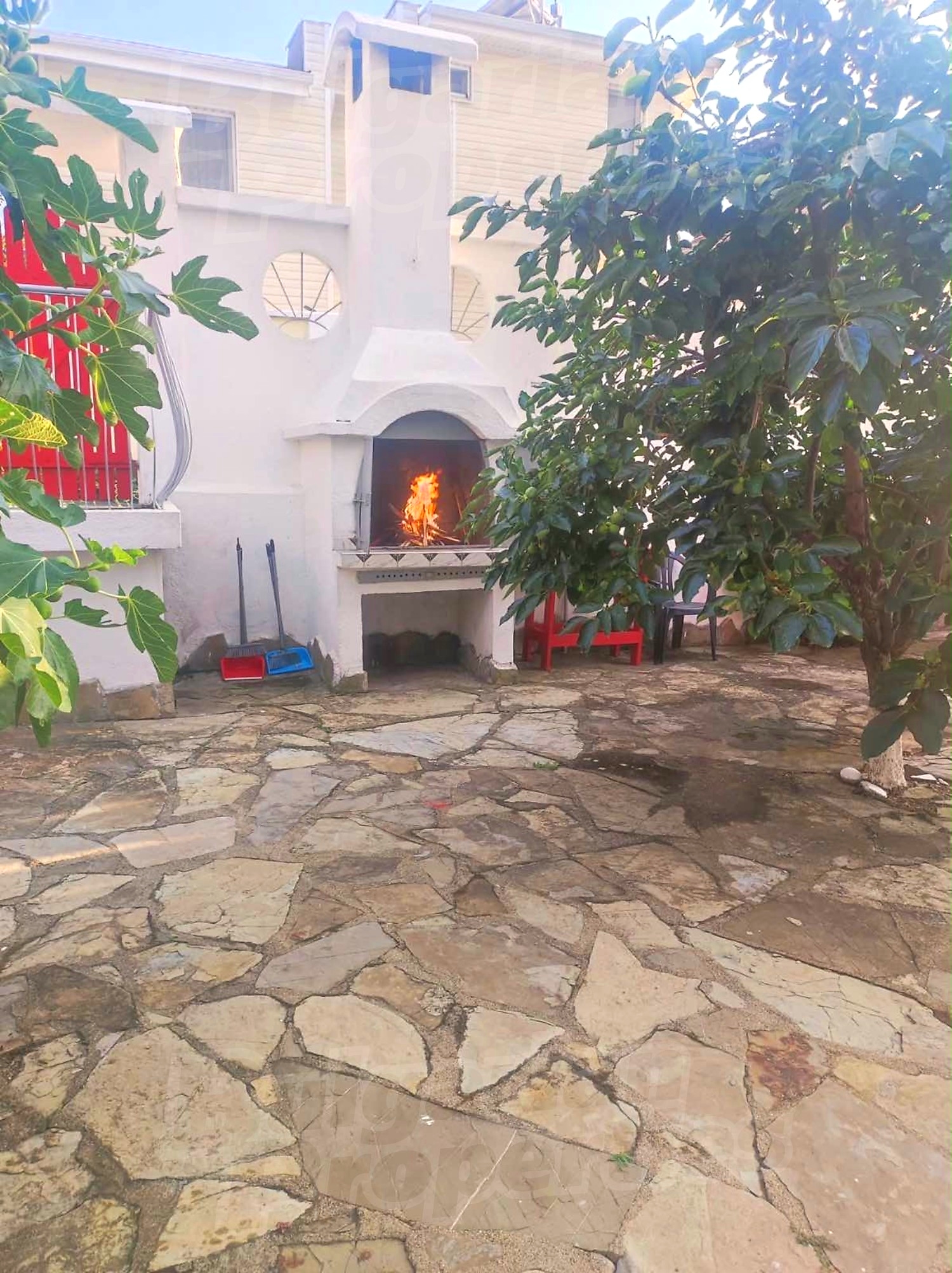 outside, garden