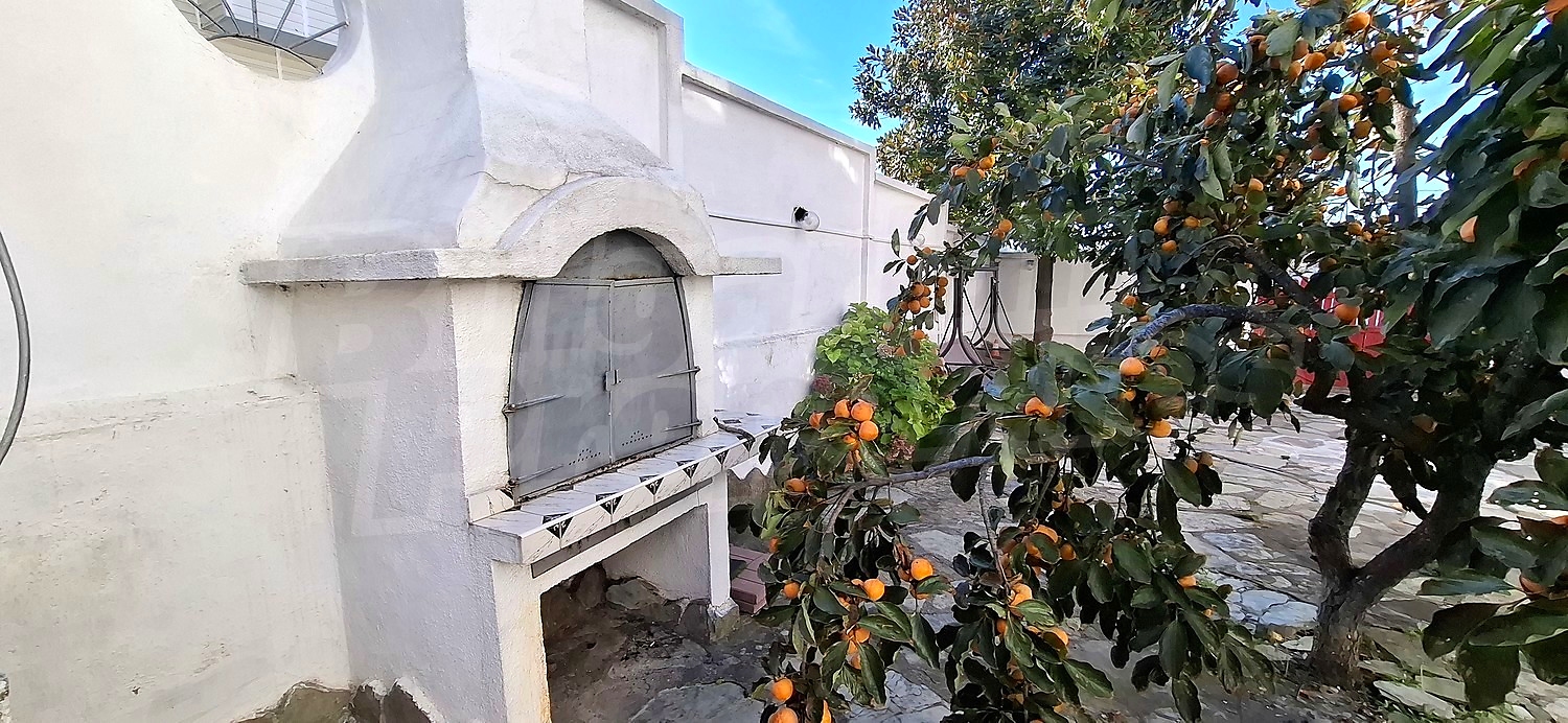outside, garden