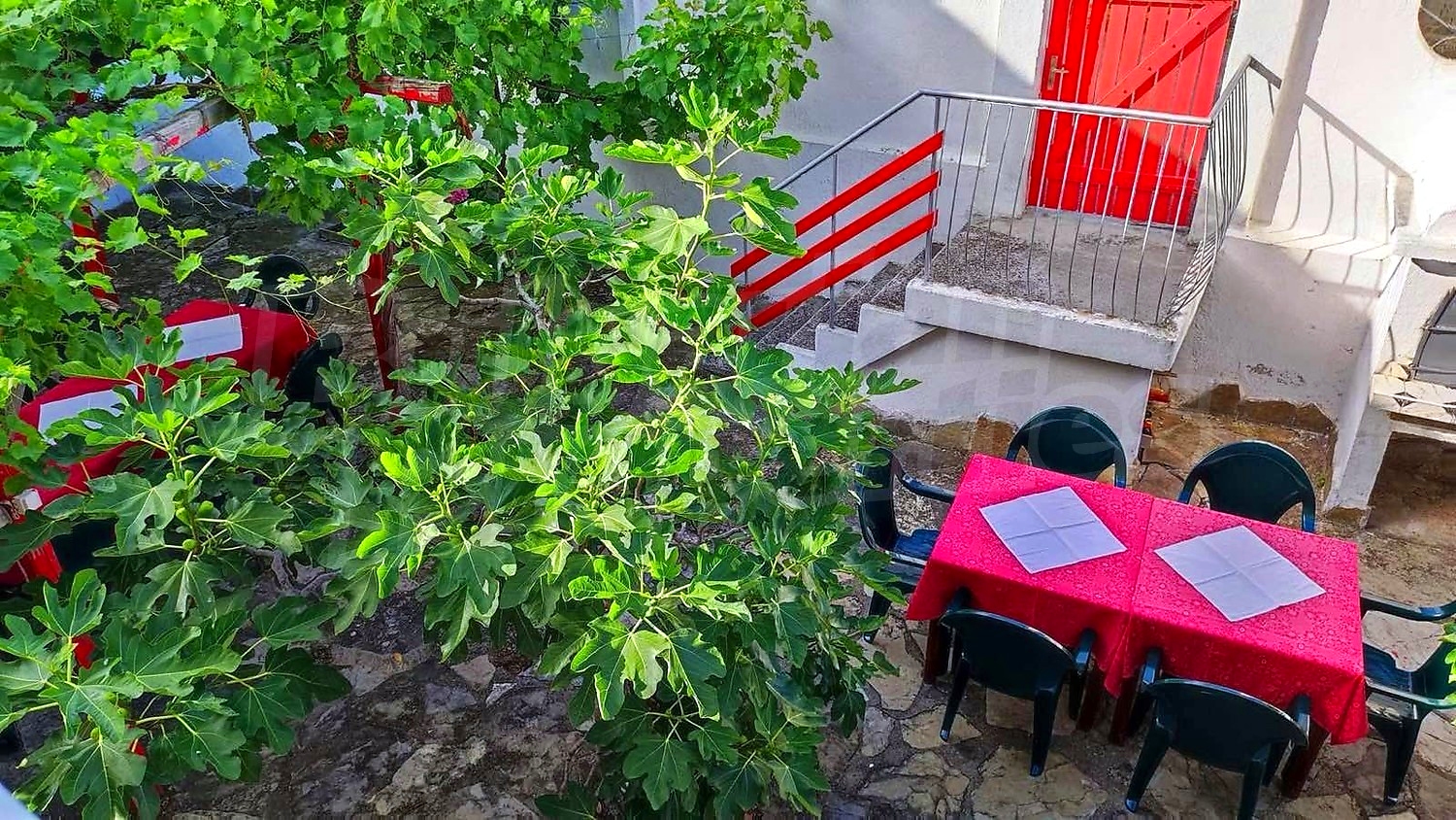 outside, garden