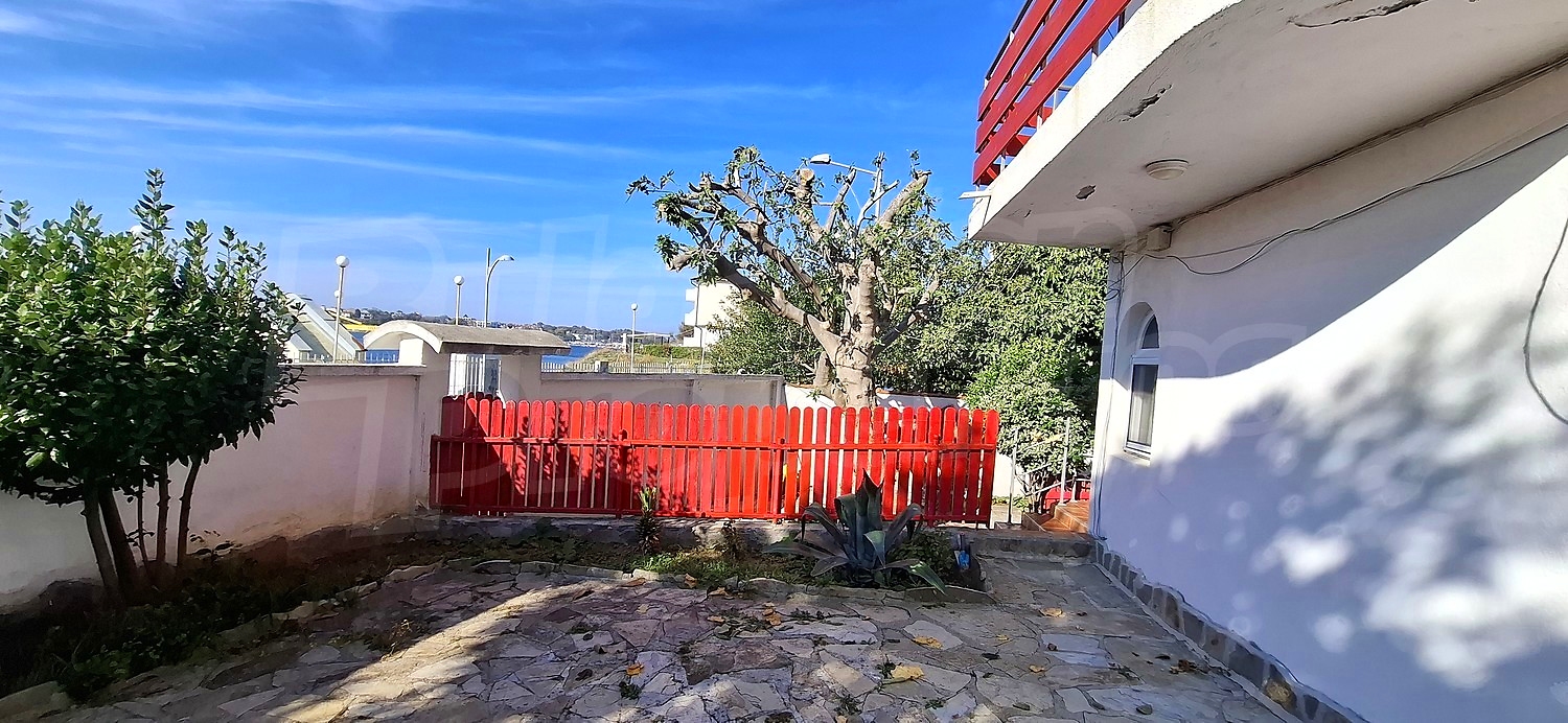 outside, garden
