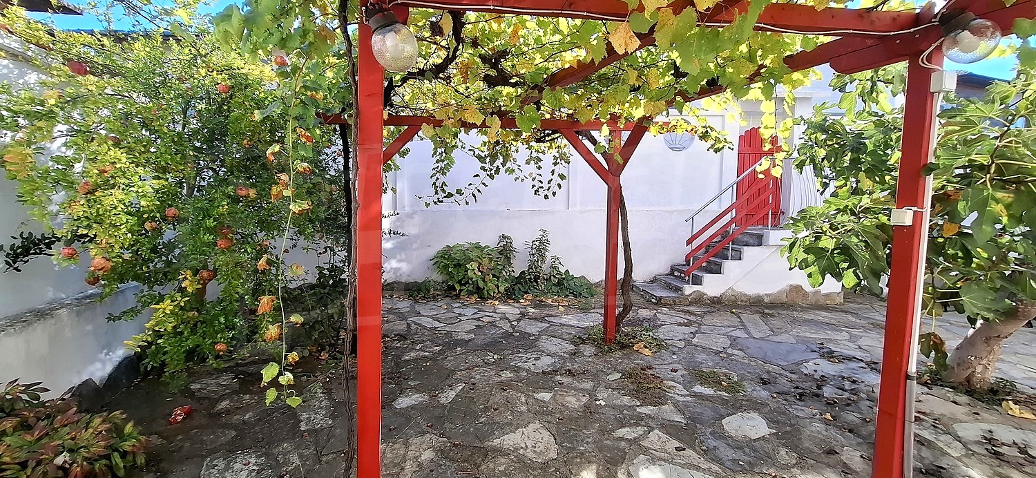 garden, outside