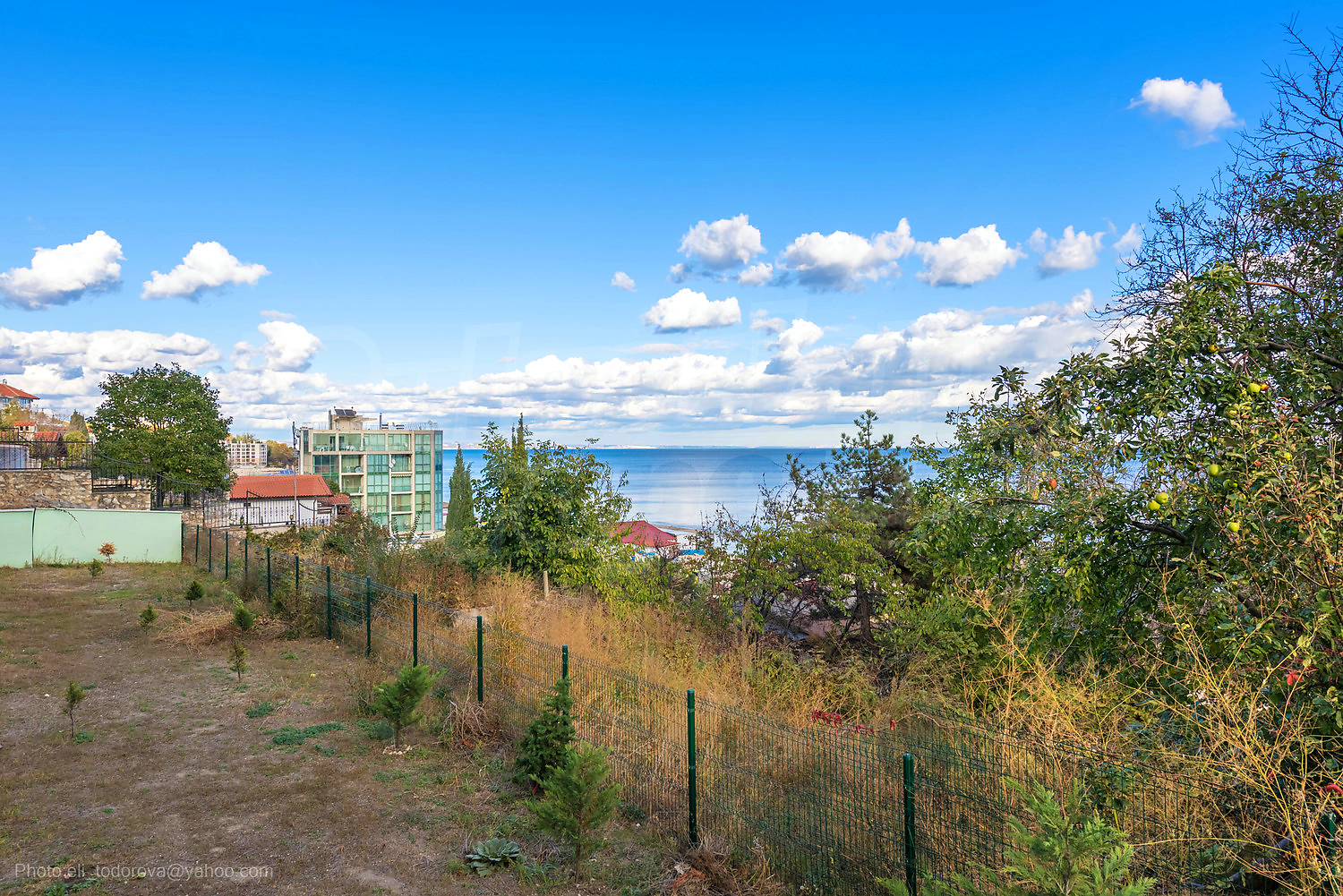 outside, garden, sea