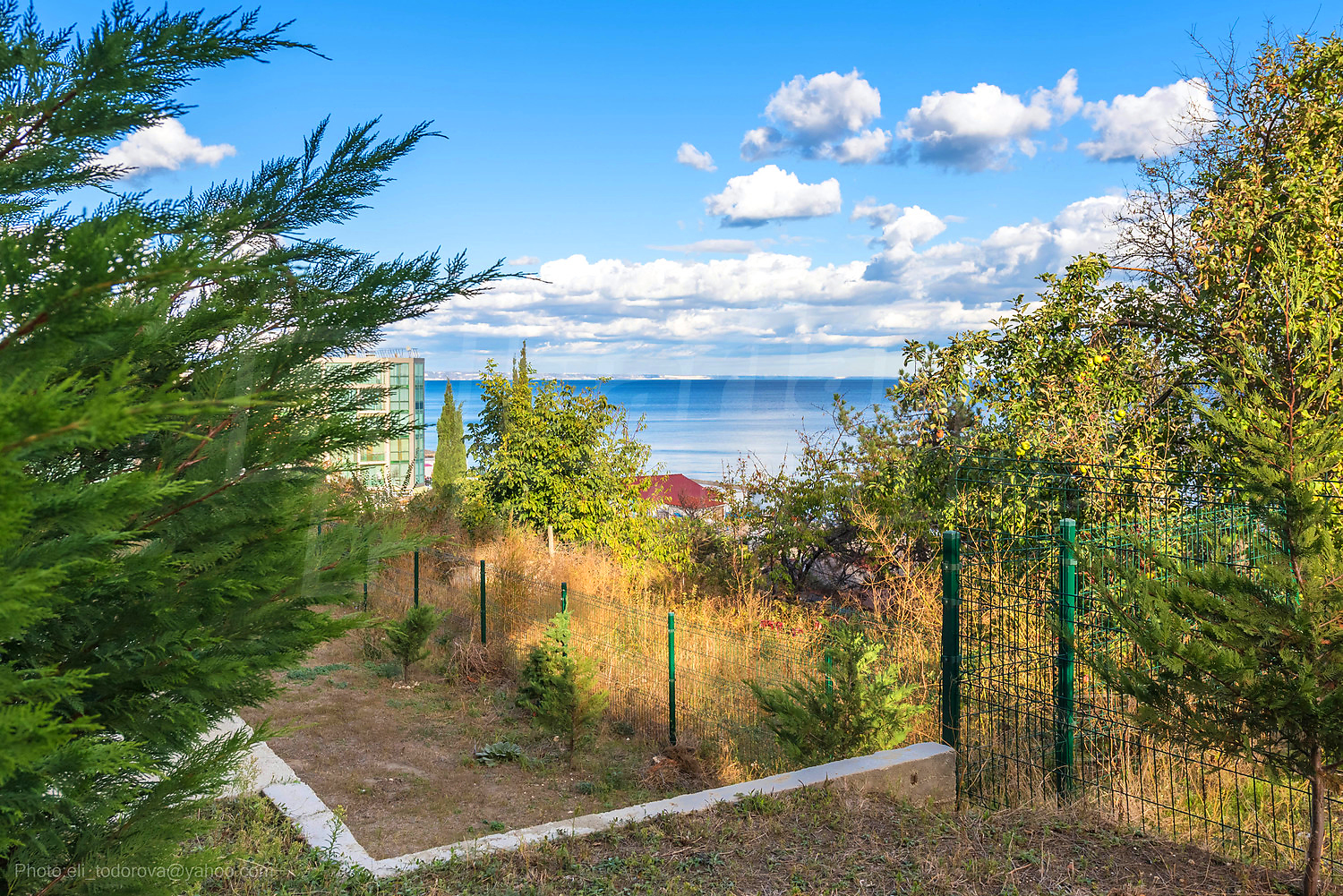 outside, sea, green area