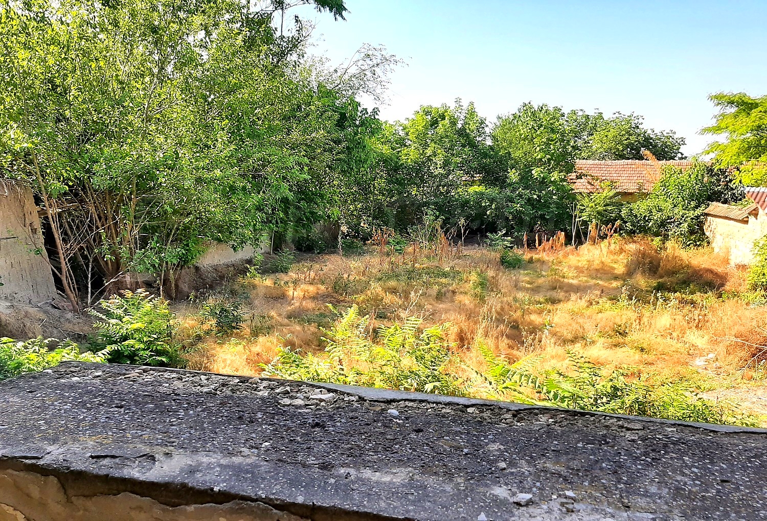 outside, garden, green area