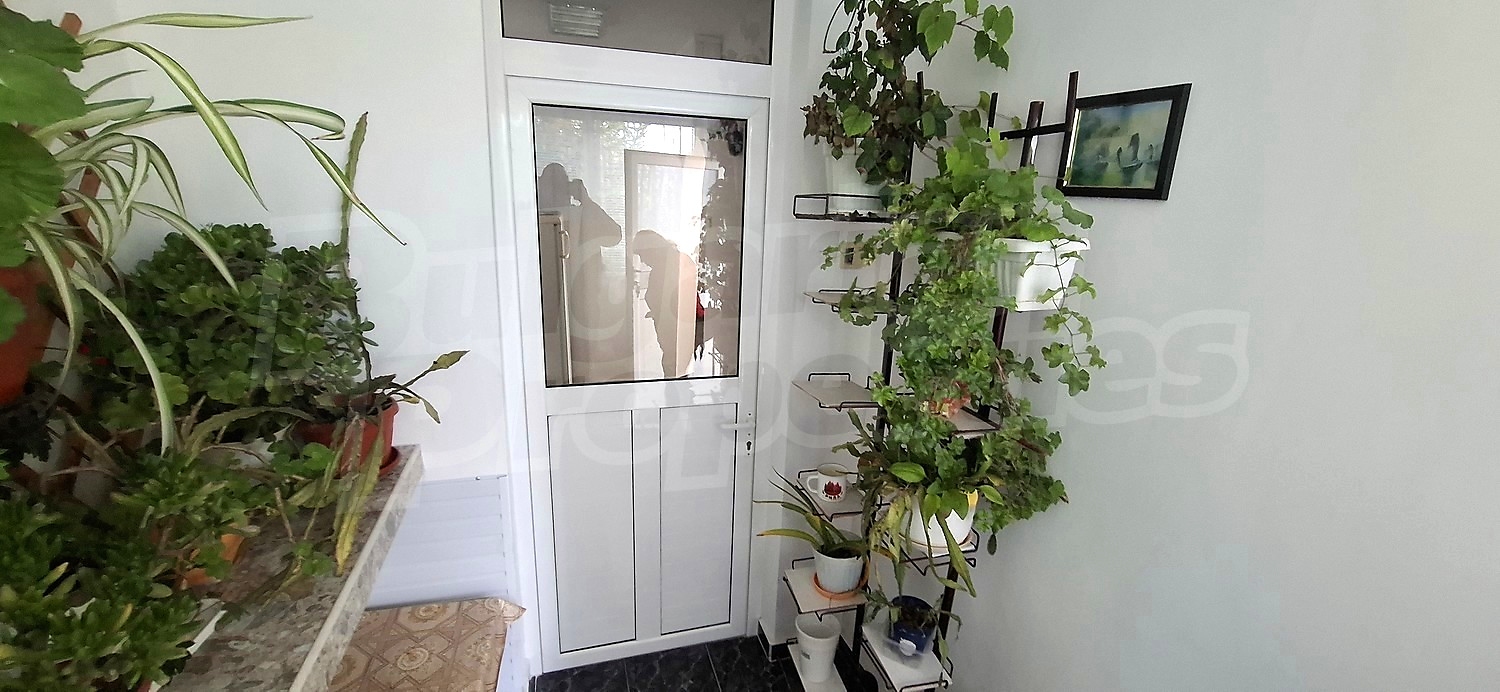 inside, green area